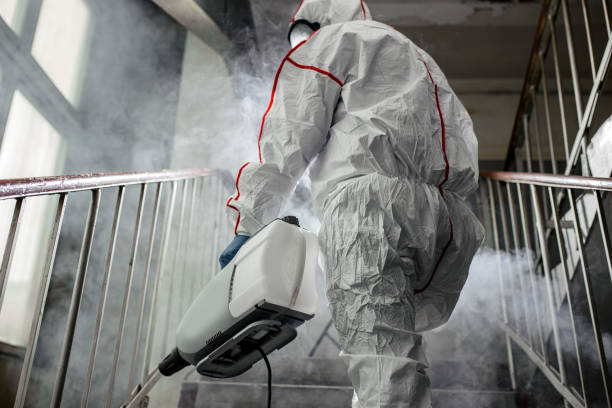 Best Forensic Mold Investigation  in Harriman, TN